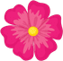 flower 1